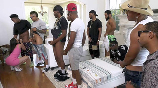 Kylie Quinn gives interracial blowjob to 13 dudes