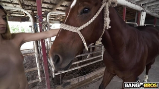 Stable girl Kristy May gives nice blowjob to Johnny Love