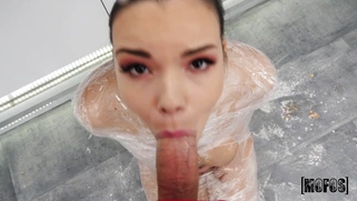 Sofia Lee is sucking the cock in POV