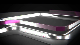 LICENSED TO BLOW - Kelly Divine Fat Booty Stepmom POV