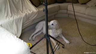 Behind the scenes