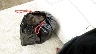 Kristen Scott appeared from the bag and started sucking cock