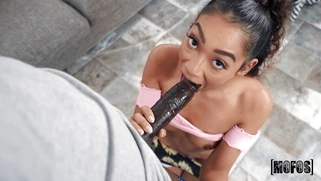 Sarah Lace is sucking the enormous black cock