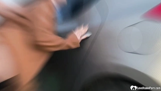 Picked up babe gets fucked by the car